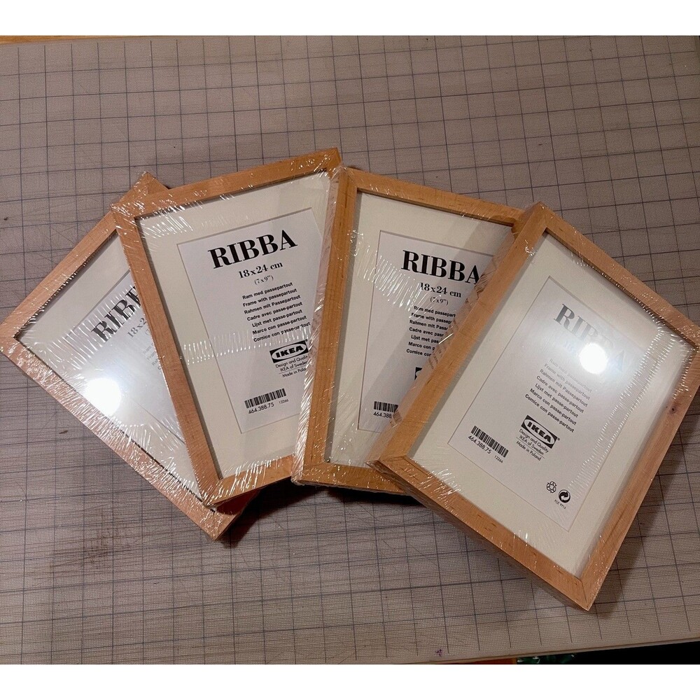 Ronna IKEA Frames 18x24